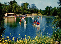 CPM Celles-sur-Belle Plan D'eau De Lambon L'Ecole De Voile - Segeln