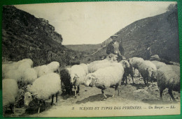 CPA METIER PAYSAN DES PYRENEES . UN BERGER ET SES MOUTONS. 1921   . EDITEUR LL . FRENCH SHEEPHERD . SHEEP OLD PC - Bauern