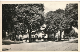 UCCLE   AVENUES COGHEN ET BRUGMANN   PHOTOCARD   2 SCANS - Uccle - Ukkel