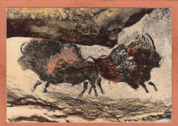 MONTIGNAC SUR VEZERE - DORDOGNE - GROTTE PREHISTORIQUE DE LASCAUX - ECRITE - Montignac-sur-Vézère