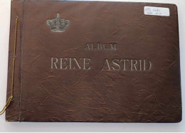 Album De Plus De 100 Cartes Côte D'or Sur La Famille Royale - La Reine Astrid - Albumes & Catálogos