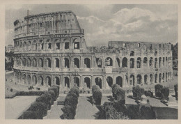 Cartolina Roma - Colosseo - Colosseo