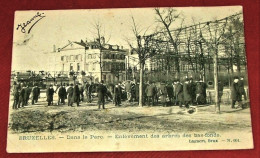 BRUXELLES  -    Enlèvement Des Arbres Et Des Bas-fonds - Dans Le Parc    -  1905 - Forêts, Parcs, Jardins