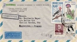 BRAZIL 1969 AIRMAIL R - LETTER SENT TO MONTEVIDEO - Lettres & Documents