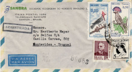 BRAZIL 1969 AIRMAIL R - LETTER SENT TO MONTEVIDEO - Storia Postale