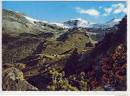 ZILLERTAL / Tirol - Panorama Von Der SOMMERBERG - ALM - Zillertal