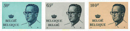 84681 MNH BELGICA 1981 REY BALDUINO - Other & Unclassified