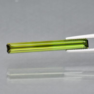 Tourmaline Verdélite 1,43 Carats - Turmalina