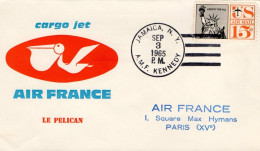 USA ETATS UNIS VOL CARGO JET AIR FRANCE N1965 - Schmuck-FDC