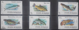 Romania 1992, Fish, MNH Stamps Set - Nuevos