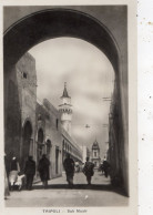 LIBYE TRIPOLI SUK MUXIR  ( CARTE PHOTO ) - Libia