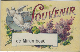 SOUVENIR  DE MIRAMBEAU - Mirambeau