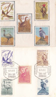 Argentina - 1960 - FDC - Argentine Birds Stamp Set - Condor, Tijereta, ñandu, Perdiz Colorada, Carpintero - Caja 30 - FDC