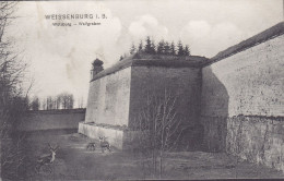 Bayern PPC Weissenburg I. B. Wülzburg - Wallgraben Fritz Jacobi. Deer Hirsch. WEISSENBURG (2 Scans) - Weissenburg