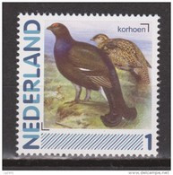 Nederland Netherlands Pays Bas Holanda Niederlande MNH : Hoen Poule Fowl Gallina Korhoen Black Grouse Vogel Bird Ave - Galline & Gallinaceo