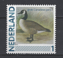 Netherlands Nederland Pays Bas Holanda Niederlande MNH ; Canadese Gans Goose Oie Ganso Vogel Bird Ave Oiseau - Oies