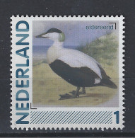 Netherlands Nederland Pays Bas Holanda Niederlande MNH ; Eider Eend Duck Canard Pato  Vogel Bird Ave Oiseau - Entenvögel