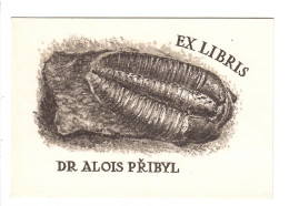 Ex Libris.110mmx175mm. - Ex-libris