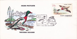 Environmental Protection Day BIRDS  DUCKS COVERS 1993, ROMANIA - Canards