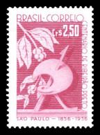 Brazil 1957 Unused - Ungebraucht