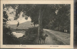 41091149 Bodenwerder Weser Am Schrinntal, Hund Bodenwerder - Bodenwerder