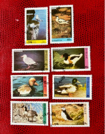 ÉCOSSE STAFFA 1974 8v Oblitère  Pájaro Bird Pássaro Vogel Ucello Oiseau SCOTLAND - Eenden