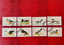 ÉCOSSE STAFFA 1972 8v Oblitère  Pájaro Bird Pássaro Vogel Ucello Oiseau SCOTLAND - Entenvögel