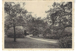 COUVIN.  PESCHES.  ETABLISSEMENT DES FILLES DE MARIE.  DANS LE PARC. - Couvin