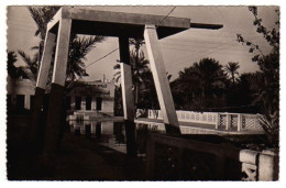 S08-006 Algérie - Colomb-Béchar - La Piscine - Bechar (Colomb Béchar)