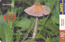 URUGUAY. 158a(b). Setas - Mushrooms - CHAMPIGNONS - FUNGHI. Mycena Sp. Chip Rojo. 01-2001. (080) - Uruguay