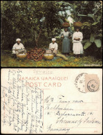Jamaika   Jamaica Jamaica Einheimische Bei Der Ernte, Cocoa Harvest 1910 - Jamaica
