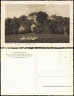 Ansichtskarte Zschöppichen-Mittweida Schloß Neusorge, Schwäne 1928 - Mittweida