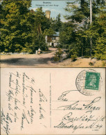Ansichtskarte Rochlitz Umland-Ansicht Waldpartie Auf Dem Berge 1927 - Rochlitz