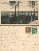 Ansichtskarte Nossen Panorama-Blick Vom Rodigt 1928 Stempel NOSSEN - Nossen