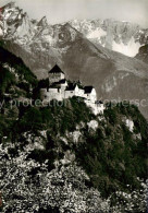 73811196 Liechtenstein Fuerstentum Schloss Vaduz Mit Falknis  - Liechtenstein