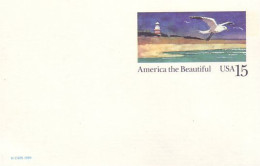 A42 112 US Postcard Seagull And Lighthouse Mouette Et Phare - Gaviotas