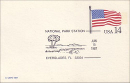 A42 99 US Postcard US Flag Everglades FL FDC - Other & Unclassified
