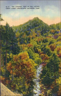 A45 606 CP Chimney Tops Great Smoky Mountains National Park - Otros & Sin Clasificación