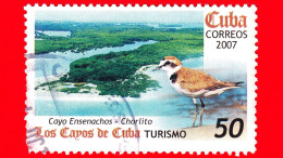 CUBA - Usato - 2007 - Turismo & Fauna - Los Cayos De Cuba - Cayo Ensenachos - Chorlito - 50 - Vedi .... - Gebruikt