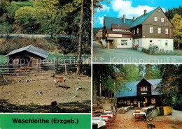 72800617 Waschleithe Tierpark Gaststaette Osterlamm Koehlerhuette Beierfeld Erzg - Grünhain