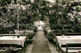 72796978 Lorch Wuerttemberg WaldCafe Muckensee Wintergarten Lorch - Lorch