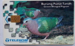 Malaysia RM5 Chip Card - Burung Punai Tanah - Malaysia