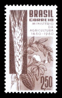 Brazil 1960 Unused - Ungebraucht