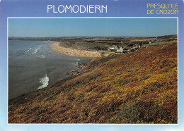 29-PLOMODIERN-N°3834-C/0059 - Plomodiern