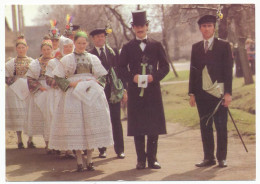 CPSM 10.5 X 15 Allemagne (145) Sorbische Hochzeit In Schwarzkollm Bei HOYERSWERDA Saxe Mariage Sorabe - Hoyerswerda