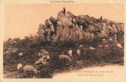 FRANCE - Saint Léonard Des Bois - Rochers Du Champ Du Pas - Les Alpes Mancelles - Carte Postale Ancienne - Saint Leonard Des Bois