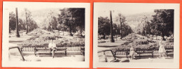 27274 /⭐ ◉ 2 Photo  ◉ MONTE-CARLO Monaco Allée Palmiers Jardin BOULINGRINS Fond Casino 1950s  ◉ Photographies 13x9cm - Jardín Exótico