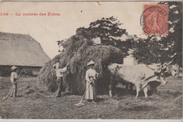 (RARE) La Rentrée Des Foins  (Attelage De Boeufs - Beau Plan) - Wagengespanne