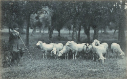 METIERS - Le Berger Avec Ses Troupes De Moutons - Carte Postale Ancienne - Otros & Sin Clasificación