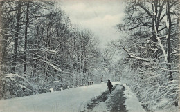 FANTAISIES - Une Personne Marchant Dans La Neige - Carte Postale Ancienne - Other & Unclassified